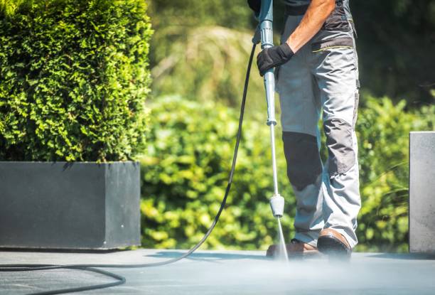 Trusted Meadow Vista, CA Pressure Washing Services Experts